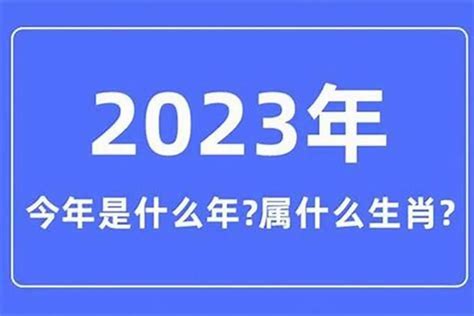 05年属|2005年属什么生肖